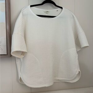 Max Studio Cream Textured Short Sleeve Top